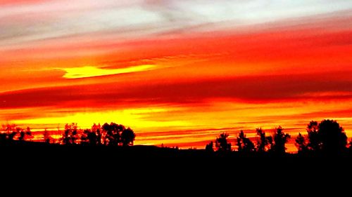 Silhouette of trees at sunset