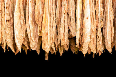 Close-up of rocks against black background