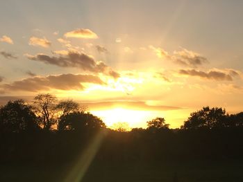 Silhouette trees against sky during sunset