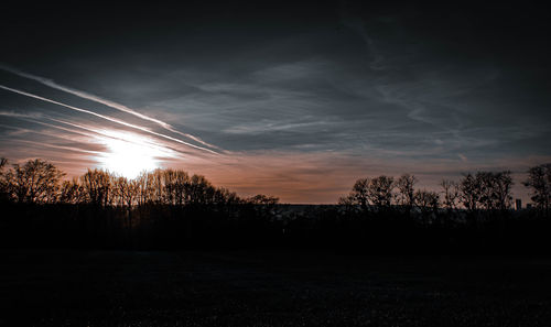 Silhouette trees on field against sky at sunset