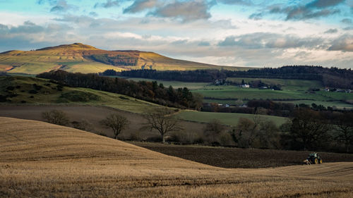 Scenic view of agricultural field against sky