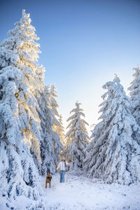 Woman with dog by snow covered trees on land against sky