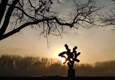 Silhouette of bare tree on field at sunset