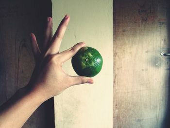 Close-up of hand holding a citrus fruit