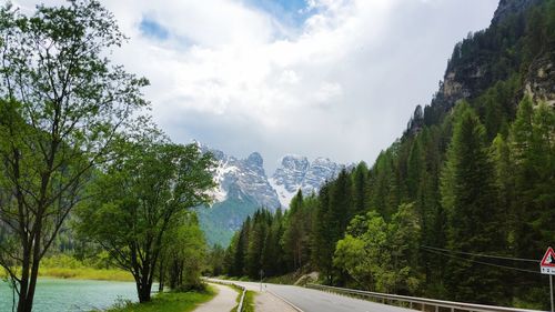 Panoramic view of trees and mountains against sky