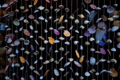 Full frame shot of hanging seashell decorations