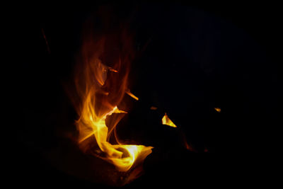 Close-up of bonfire at night