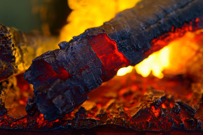 Close-up of firewood on wood