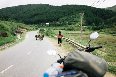 Man with bicycle on road