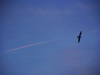 Low angle view of airplane flying against blue sky
