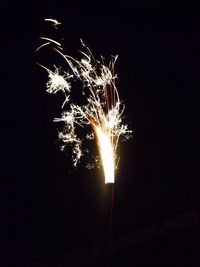 Low angle view of firework display