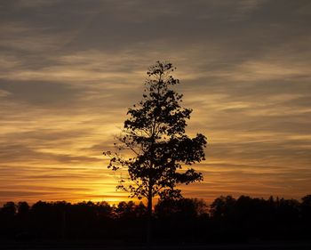 Silhouette tree on field against romantic sky at sunset