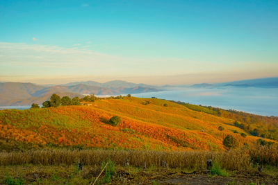 landscape