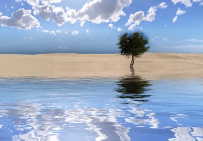 Scenic view of sea against sky