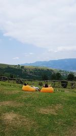 Scenic view of field against sky
