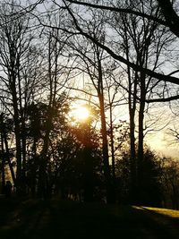 Trees against sky during sunset