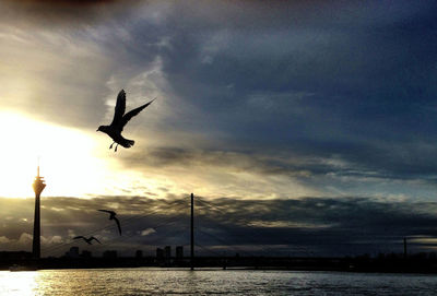 Silhouette man jumping in sea against sky