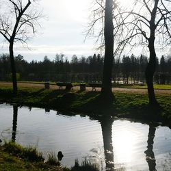 Reflection of trees in lake against sky in park