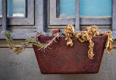 Close-up of rusty metal on window