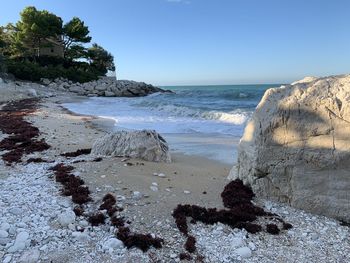 Scenic view of beach against clear sky