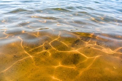 Full frame shot of rippled water