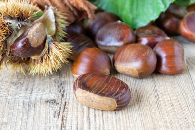 High angle view of chestnuts on table