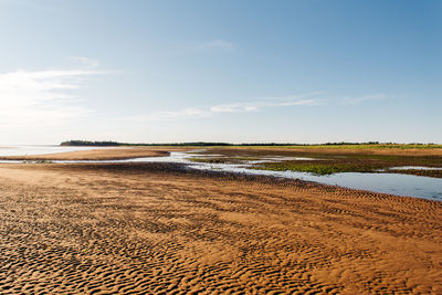 Scenic view of beach