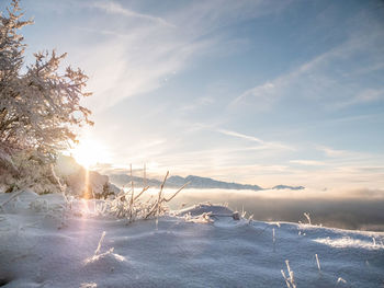 Scenic view of frozen sea against sky during sunset