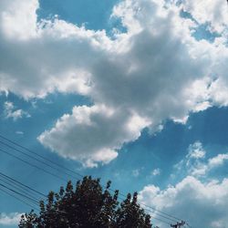 Low angle view of tree against sky