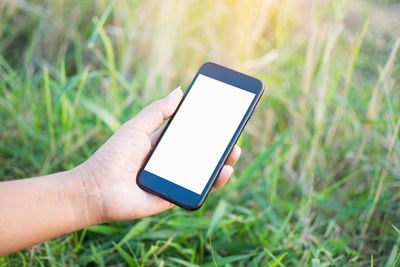 Cropped image of person holding smart phone over grass field