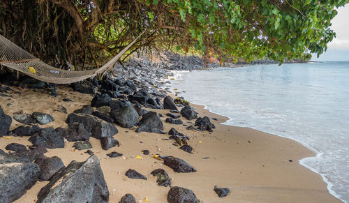 Scenic view of beach against sky