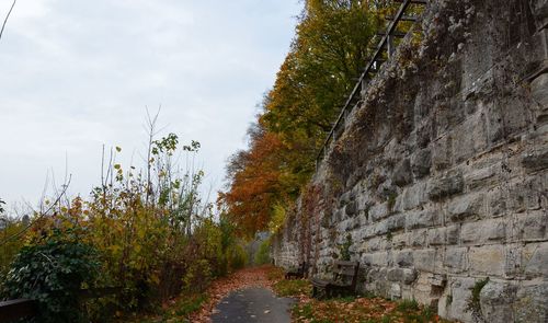 Dirt road amidst plants against sky during autumn