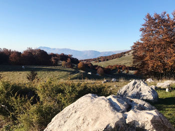Scenic view of landscape against clear blue sky