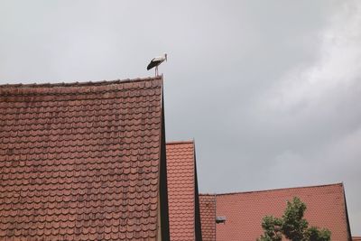 Low angle view of bird perching on roof of building against sky