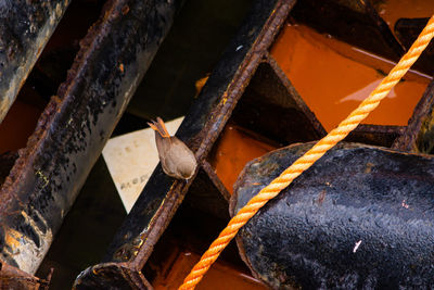 Close-up of rusty metal