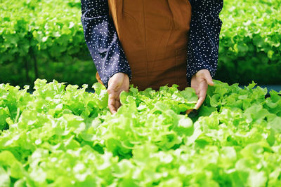 Low section of woman standing on field