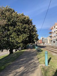 Street amidst trees and buildings against sky