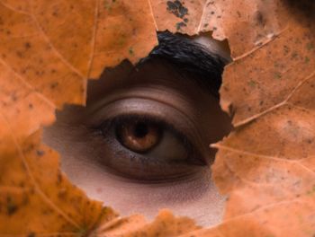 Close-up of human feet