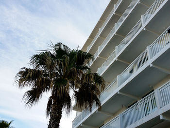 Low angle view of palm tree against sky