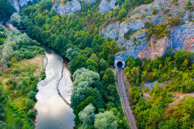 High angle view of road amidst trees in forest