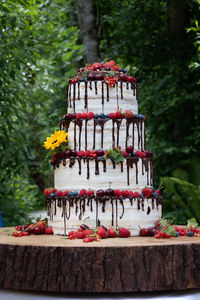 Layered cake garnished with berry fruits against trees