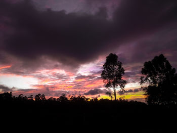 Silhouette trees against dramatic sky during sunset