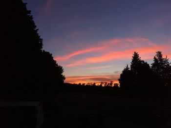 Silhouette trees against sky during sunset