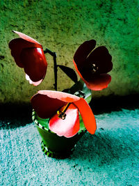 Close-up of fruits on table against wall