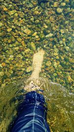 Low section of woman standing on water