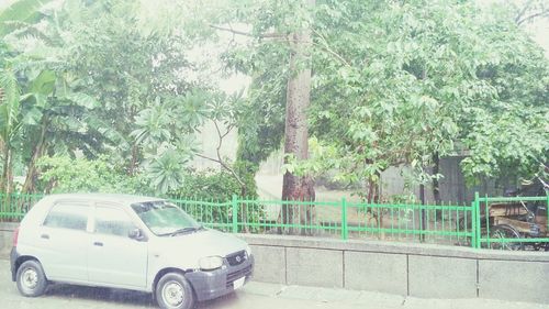 Cars parked on street