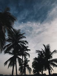 Low angle view of palm trees against sky