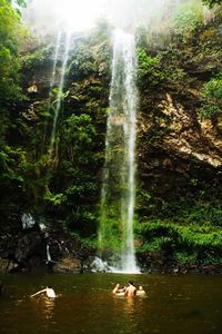 Scenic view of waterfall