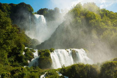 Scenic view of waterfall in forest