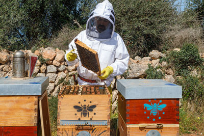 Male beekeeper in white protective work wear holding honeycomb with bees while collecting honey in apiary